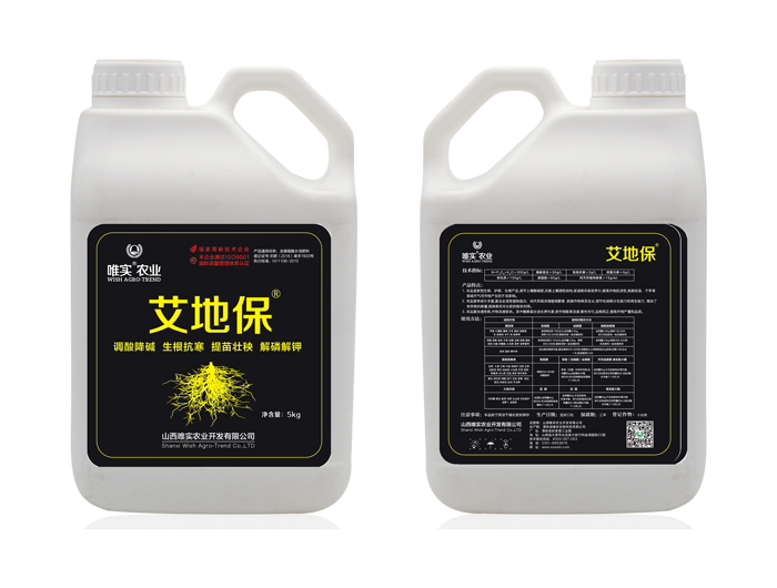 Ψ��®���ر�®���{���͡�