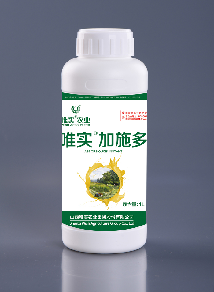 Ψ��®��ʩ��