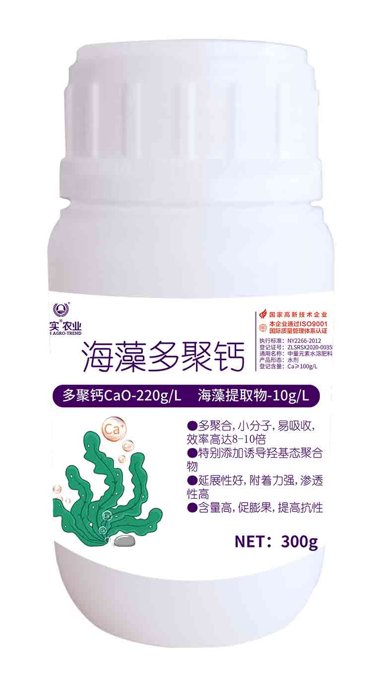 �������}